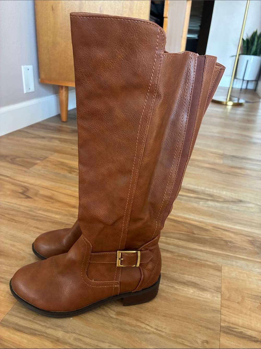 Classic Tall Women's Riding Boots in Brown